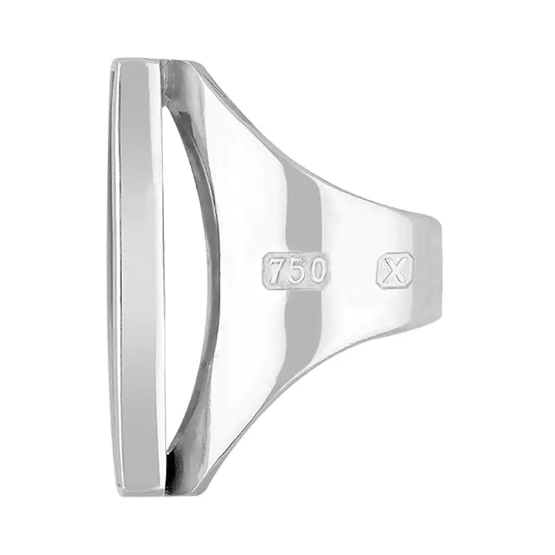 18ct White Gold Whitby Jet Hallmark Large Oblong Ring