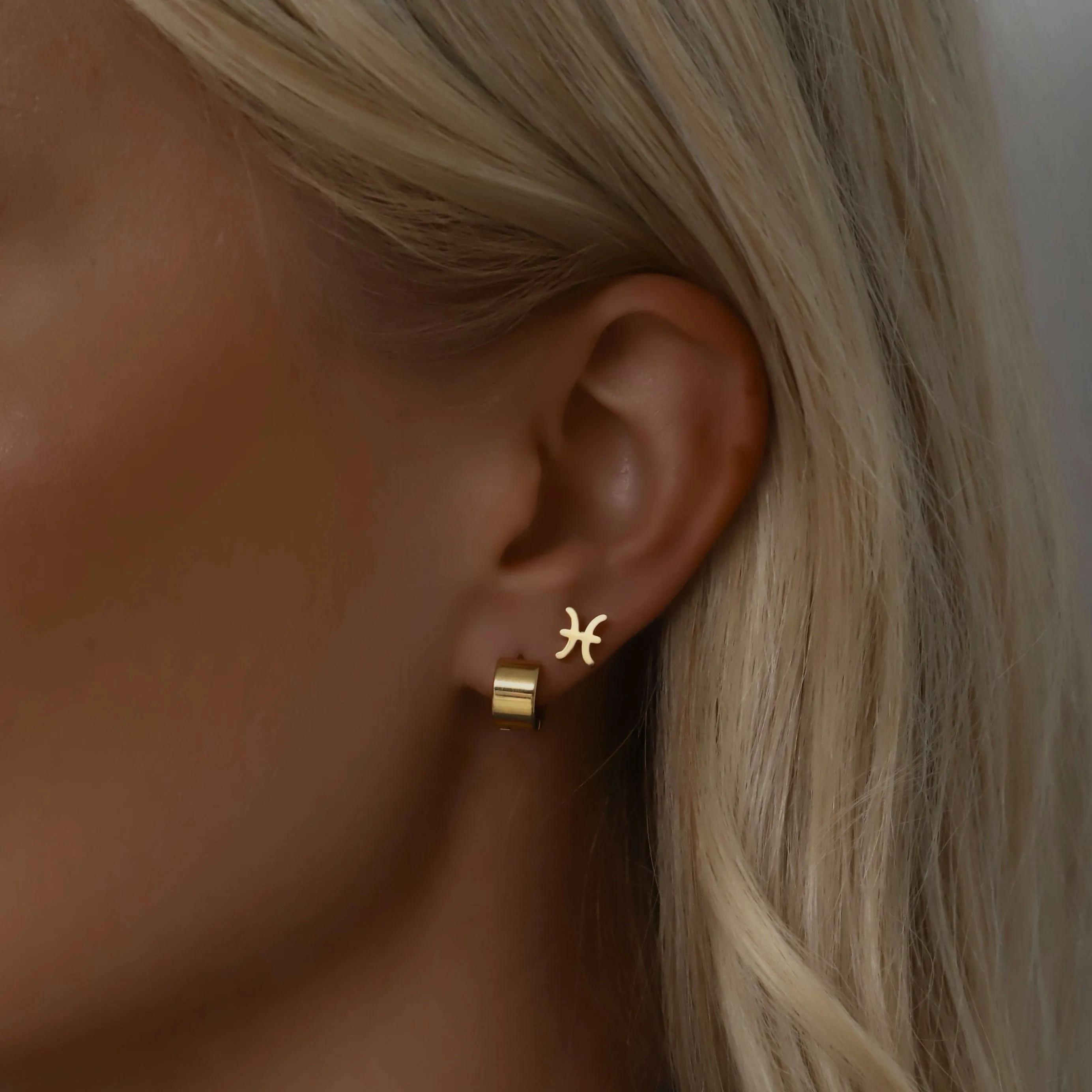 Fate Zodiac Stud Earrings