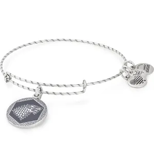 Game of Thrones? Winter is Coming Charm Bangle