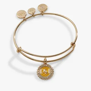 Harry Potter? Hufflepuff House Charm Bangle