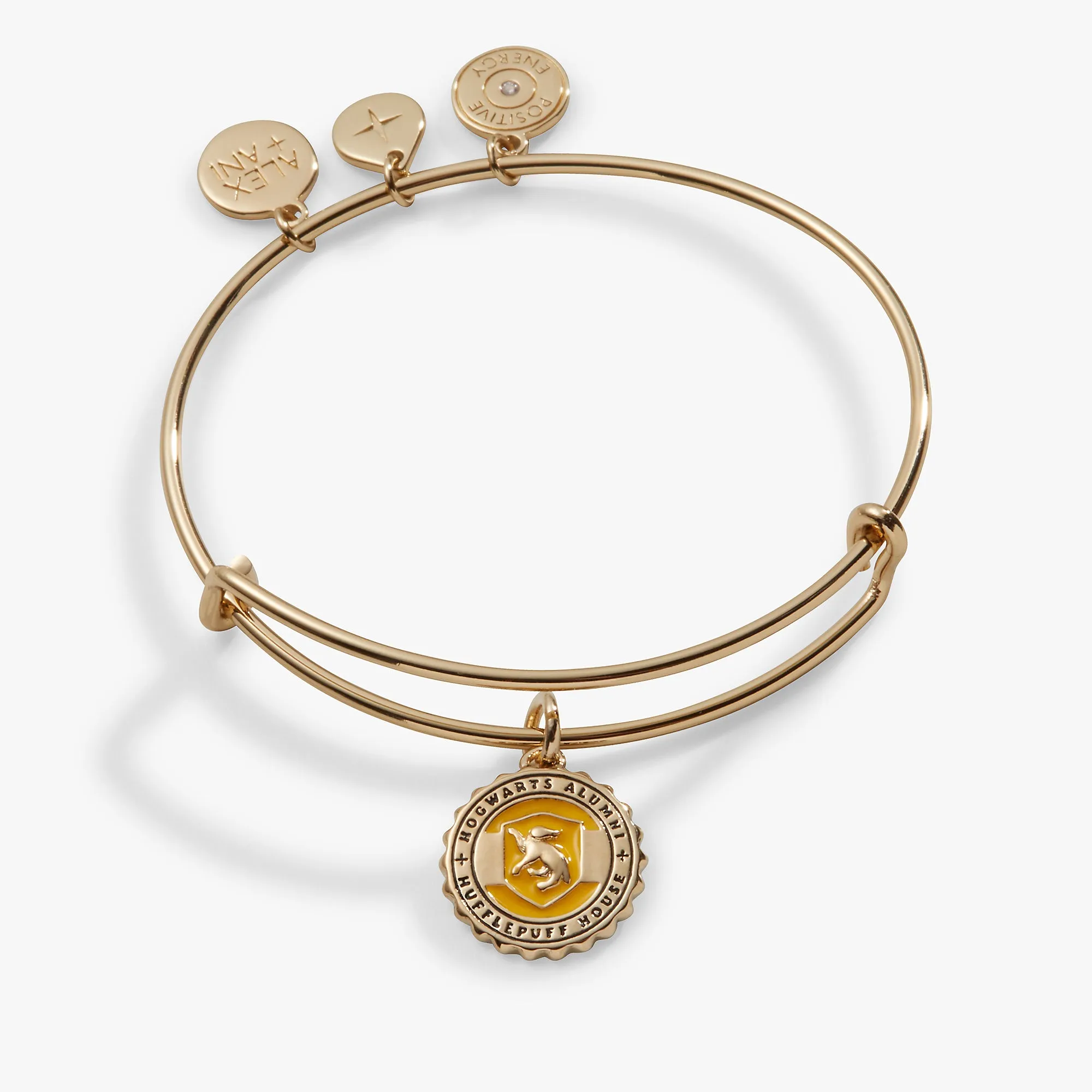 Harry Potter? Hufflepuff House Charm Bangle