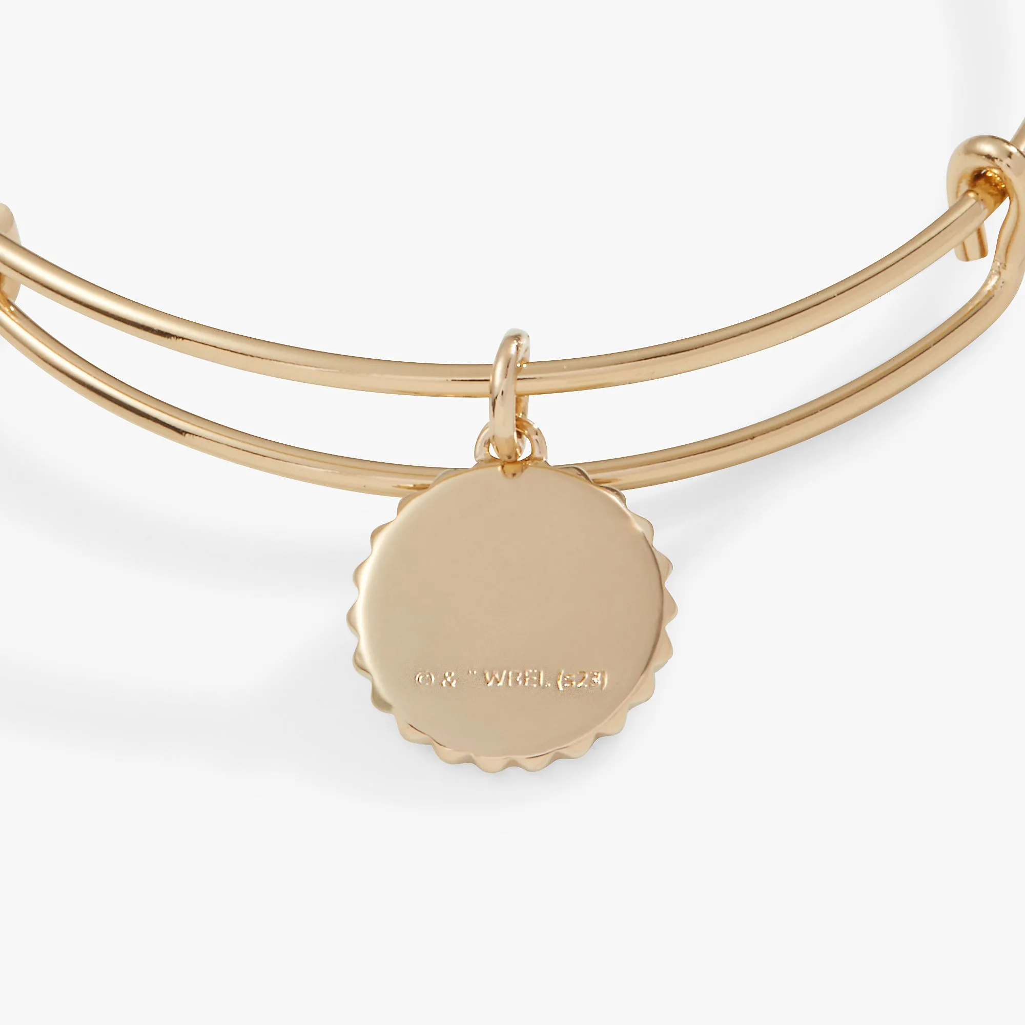 Harry Potter? Hufflepuff House Charm Bangle