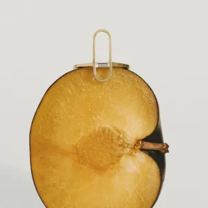 Ranga Ring