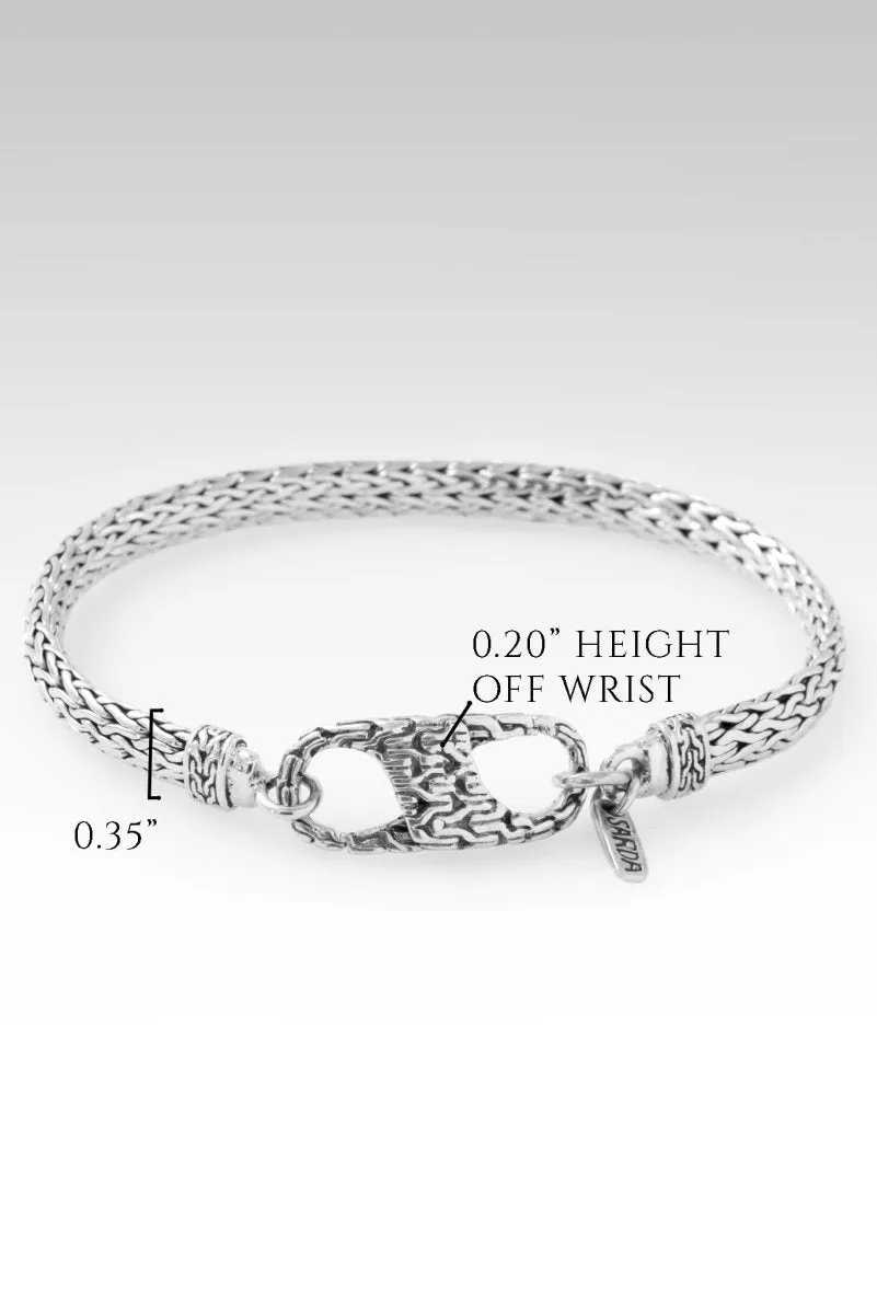 Snake Chain Bracelet? in Chainlink