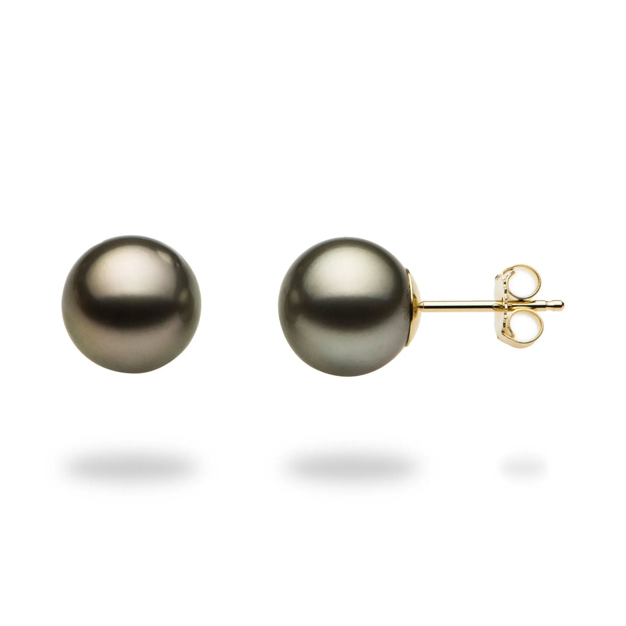 Tahitian Black Pearl Earrings in Gold - 9-10mm