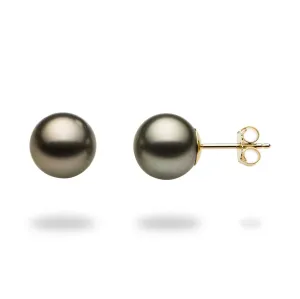 Tahitian Black Pearl Earrings in Gold - 9-10mm
